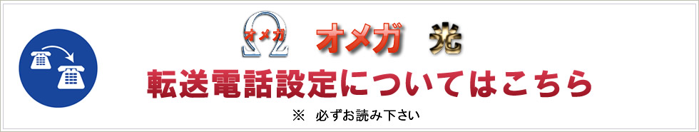 オメガ・Ω光のヴォイスワープに関するお問い合わせ・お見積は047-403-7017までお電話ください。